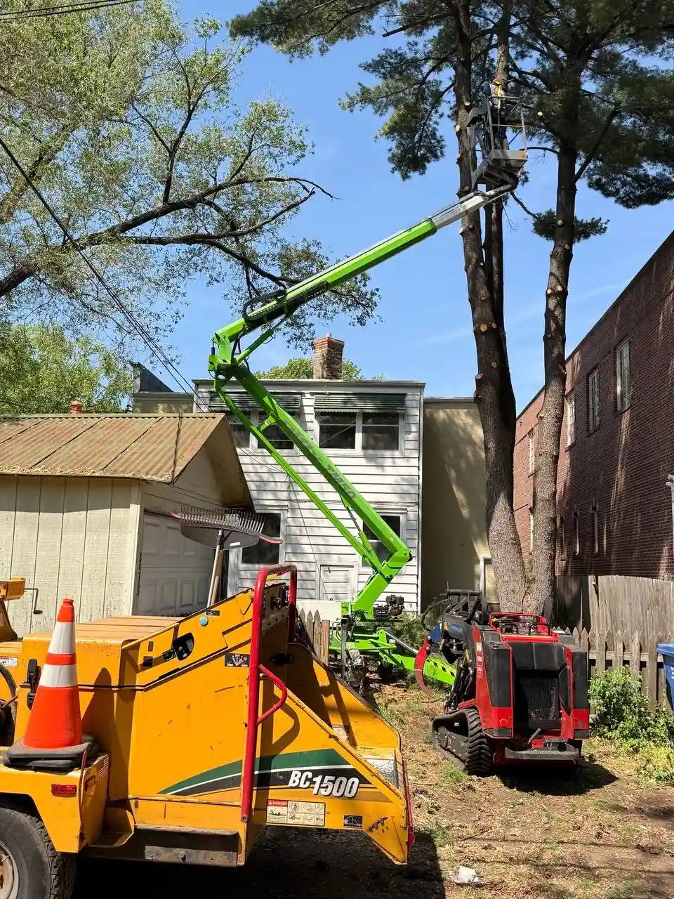 Emergency tree service crew using a compact aerial lift and mini track loader to safely dismantle a large hazardous pine tree in a confined residential space between buildings.