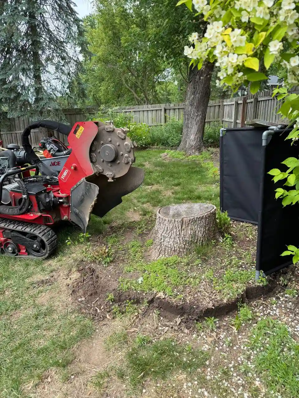 Stump grinding at residential property in Bloomington MN