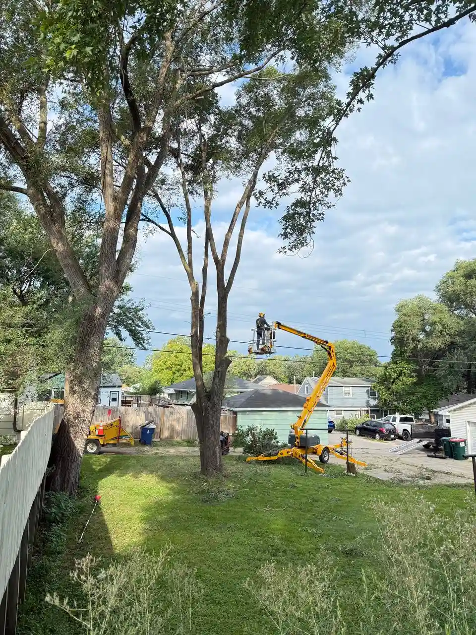 Tree removal with bucket truck in Twin Cities MN