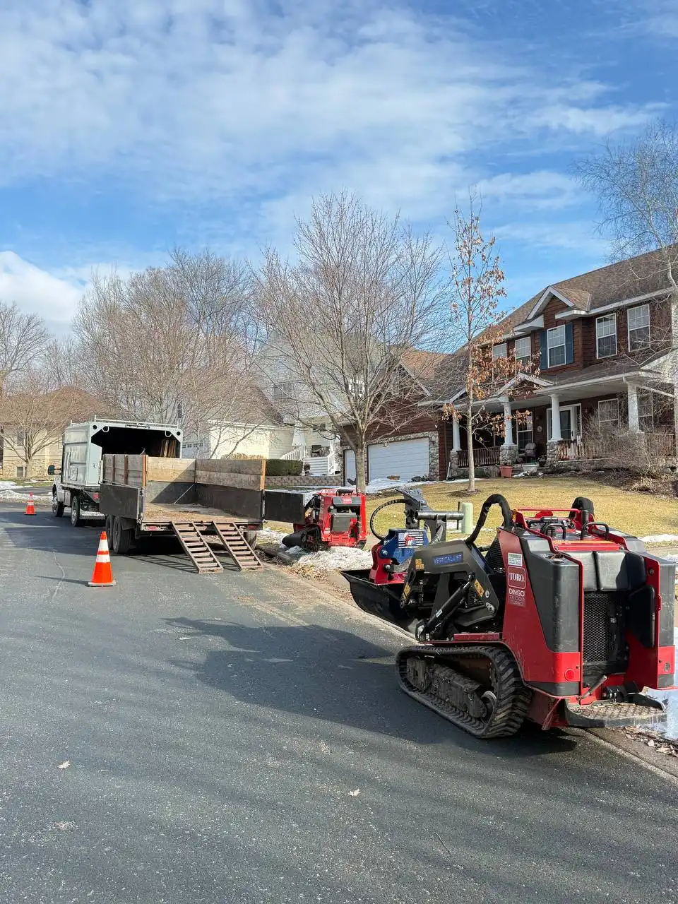 Tree removal project in Plymouth Minnesota