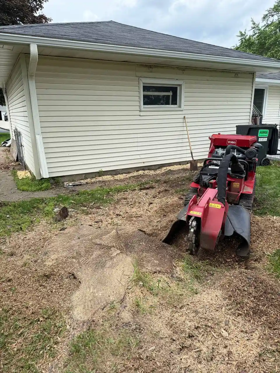 Stump grinding complete — clean yard in Richfield MN