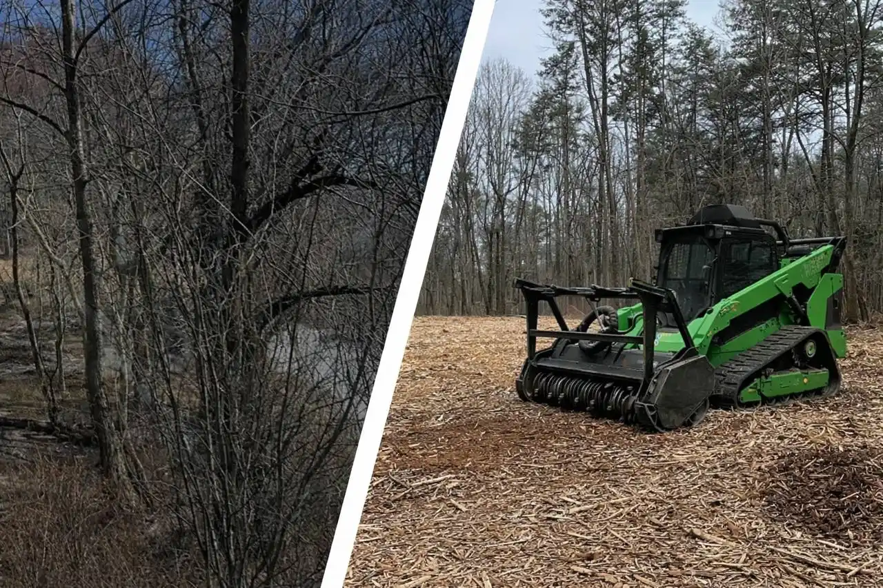 Completed lot land clearing in Minnesota