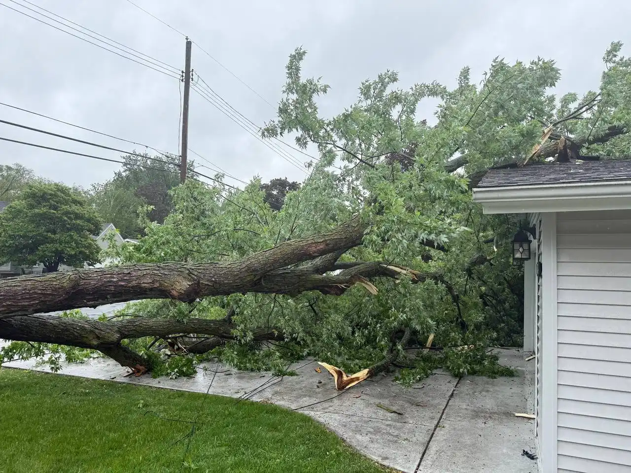 Emergency storm damage tree removal in Bloomington MN