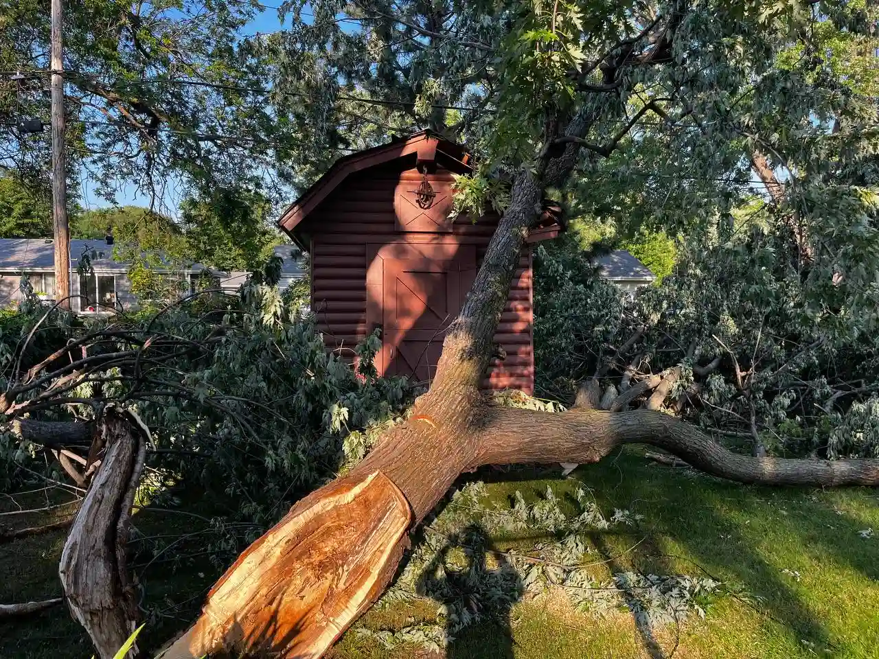 Fast emergency tree clearing from residential property