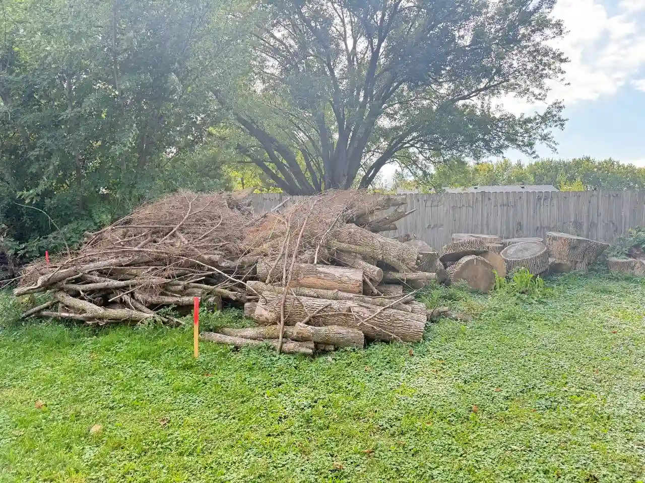 Heavy debris hauling and property cleanup