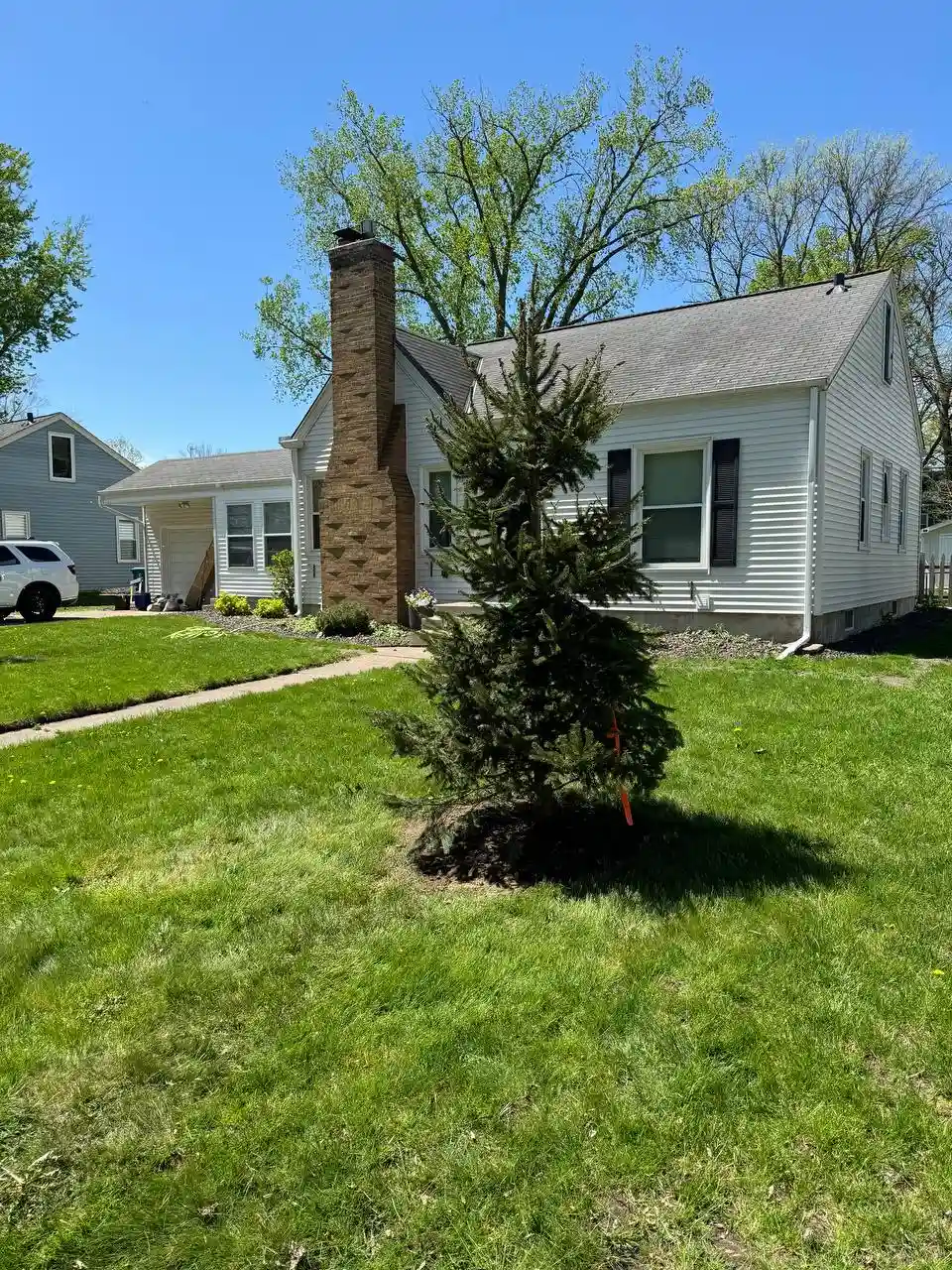 Tree planting project completed in Minneapolis area
