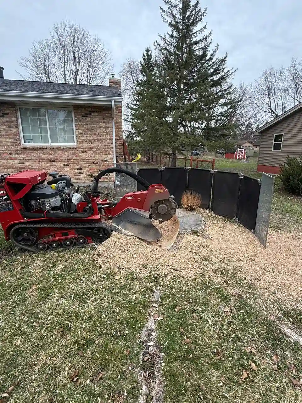 Compact Toro stump grinder working in a tight space right next to a brick house foundation and fence in the Twin Cities