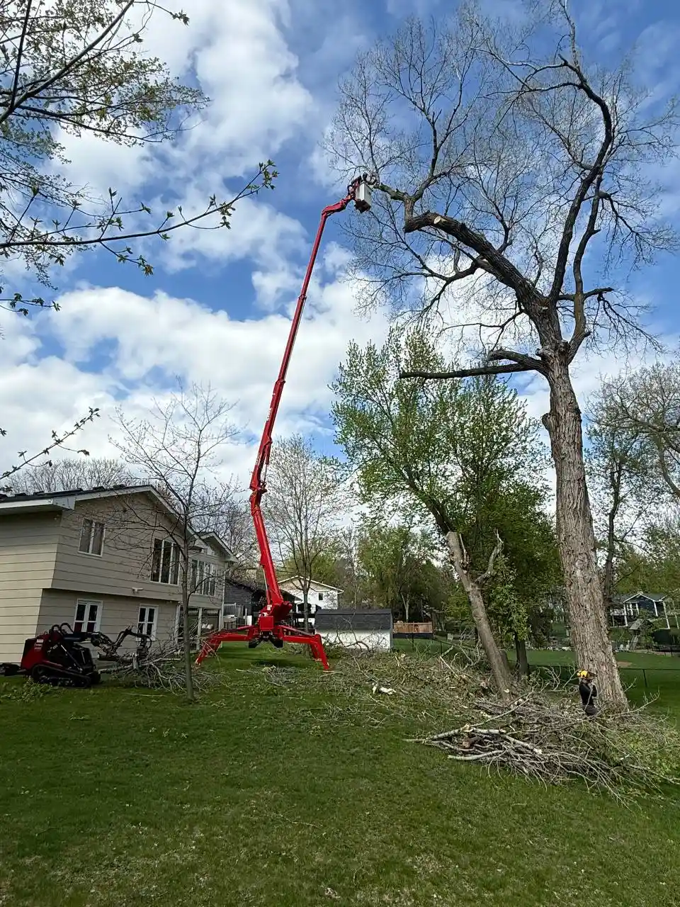 Arborist using aerial lift for safe tree dismantling before stump removal