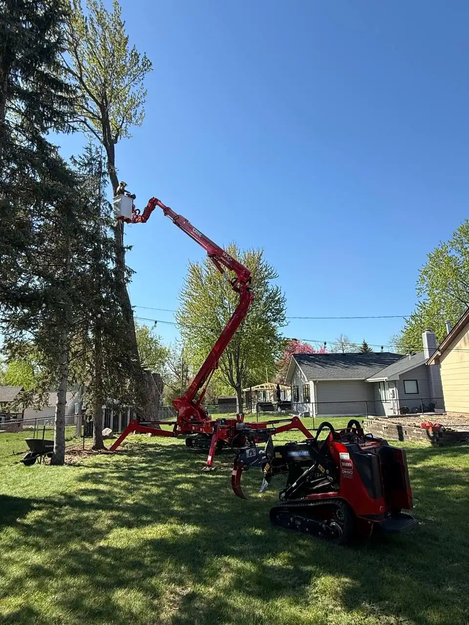 Compact tracked Toro stump grinder working in a tight residential backyard near house foundation in the Twin Cities