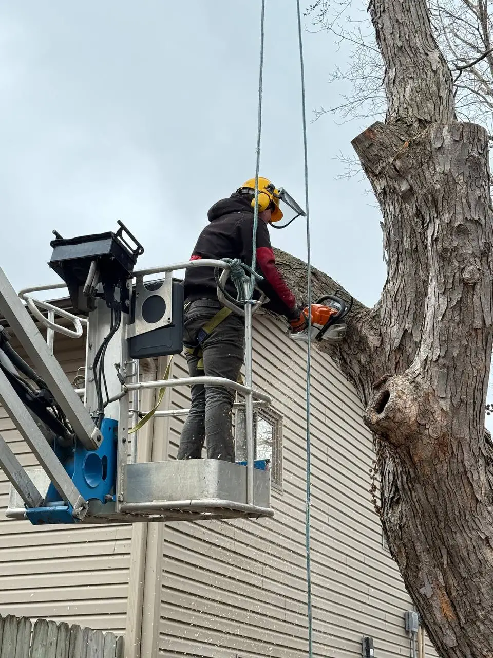 Cherry picker bucket lift tree removal near house in Minnesota