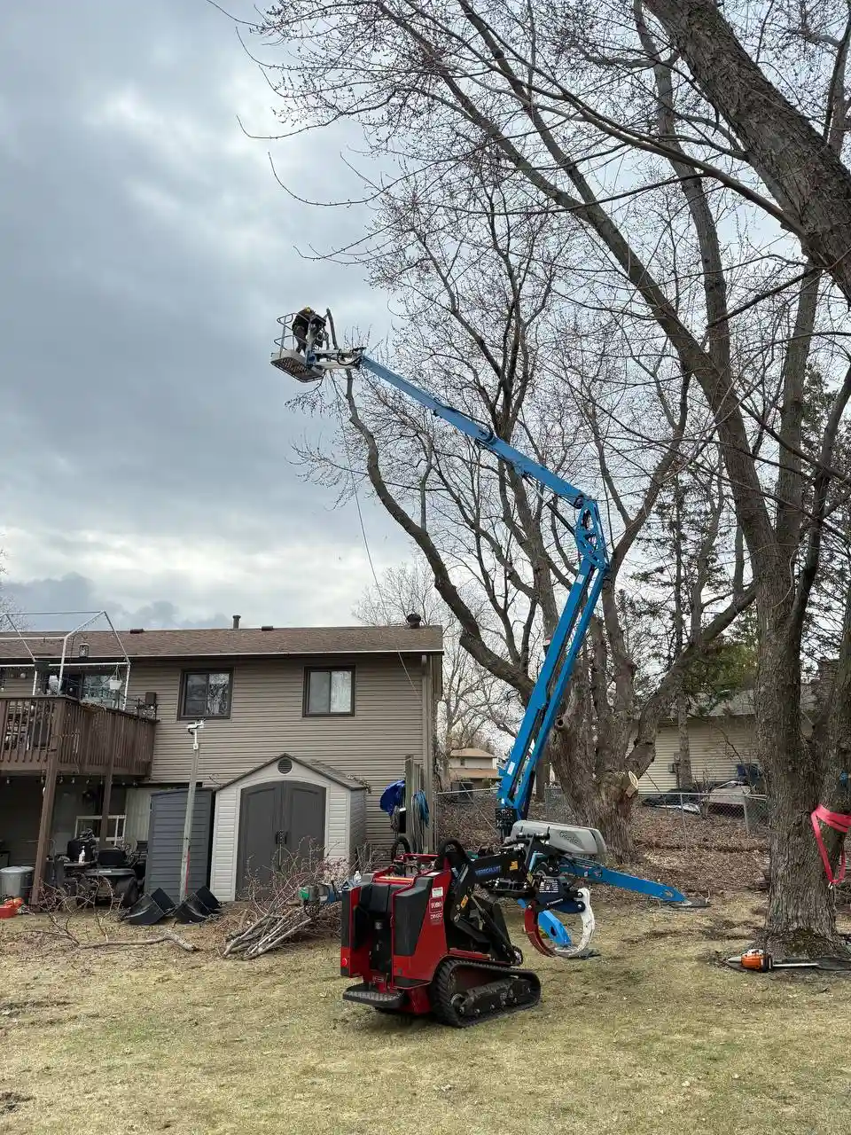 Bucket truck tree removal at residential backyard in Twin Cities