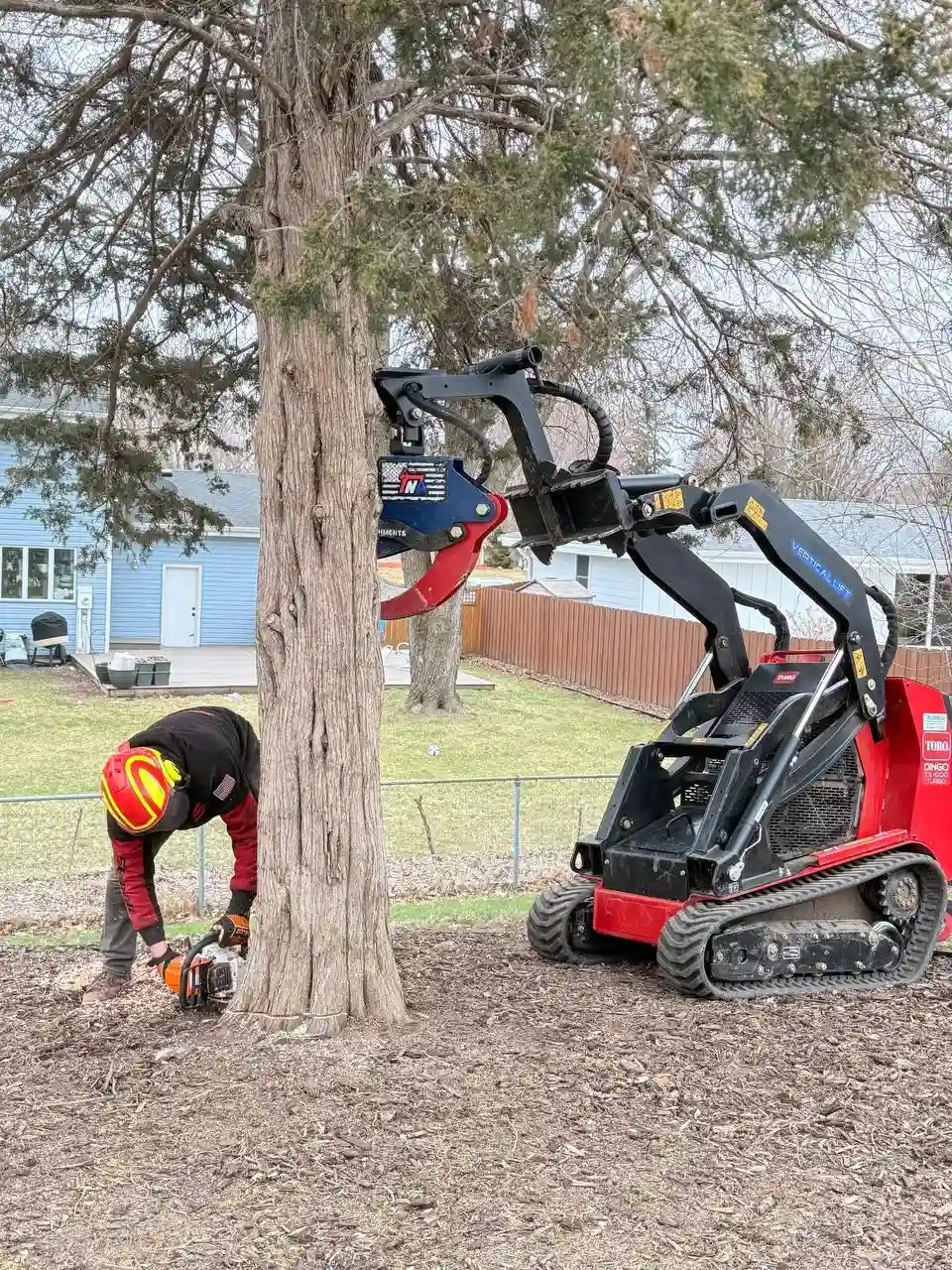 Close-up of chainsaw cutting tree trunk during removal in Minnesota