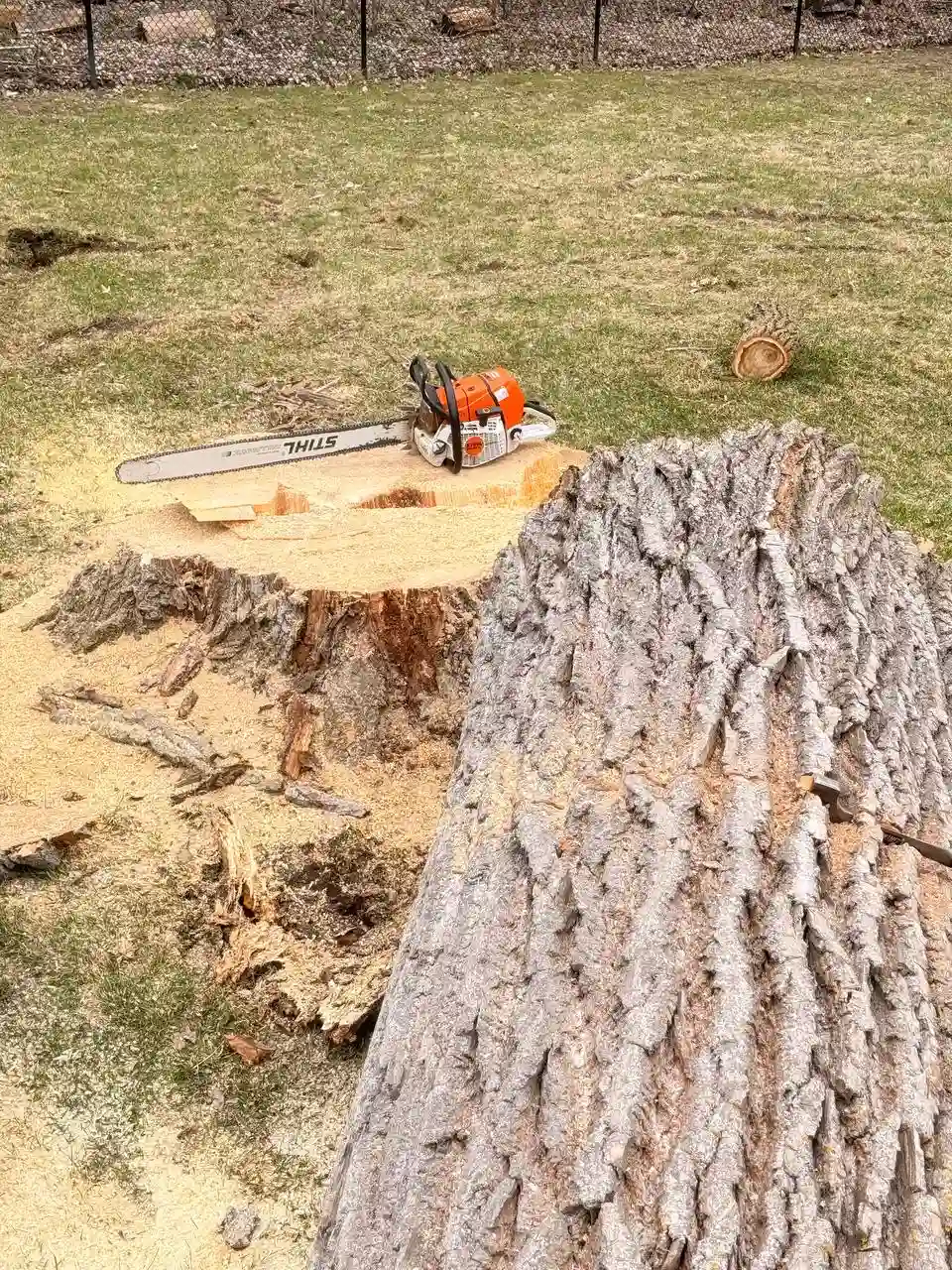 Chainsaw on cut stump next to log segment — Twin Cities emergency tree service