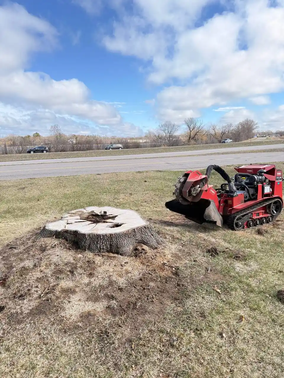 Toro stump grinder next to large tree stump on residential lawn in Minnesota