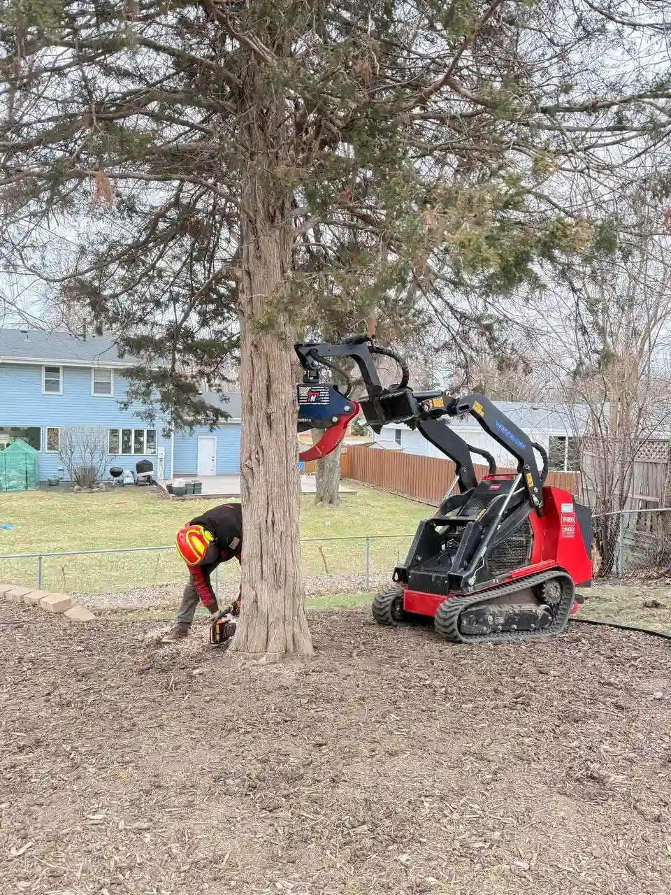 Tree cutting with chainsaw and Toro Dingo loader — KVN Pro Tree Service MN